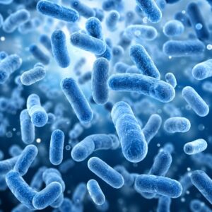 Pre & Probiotics